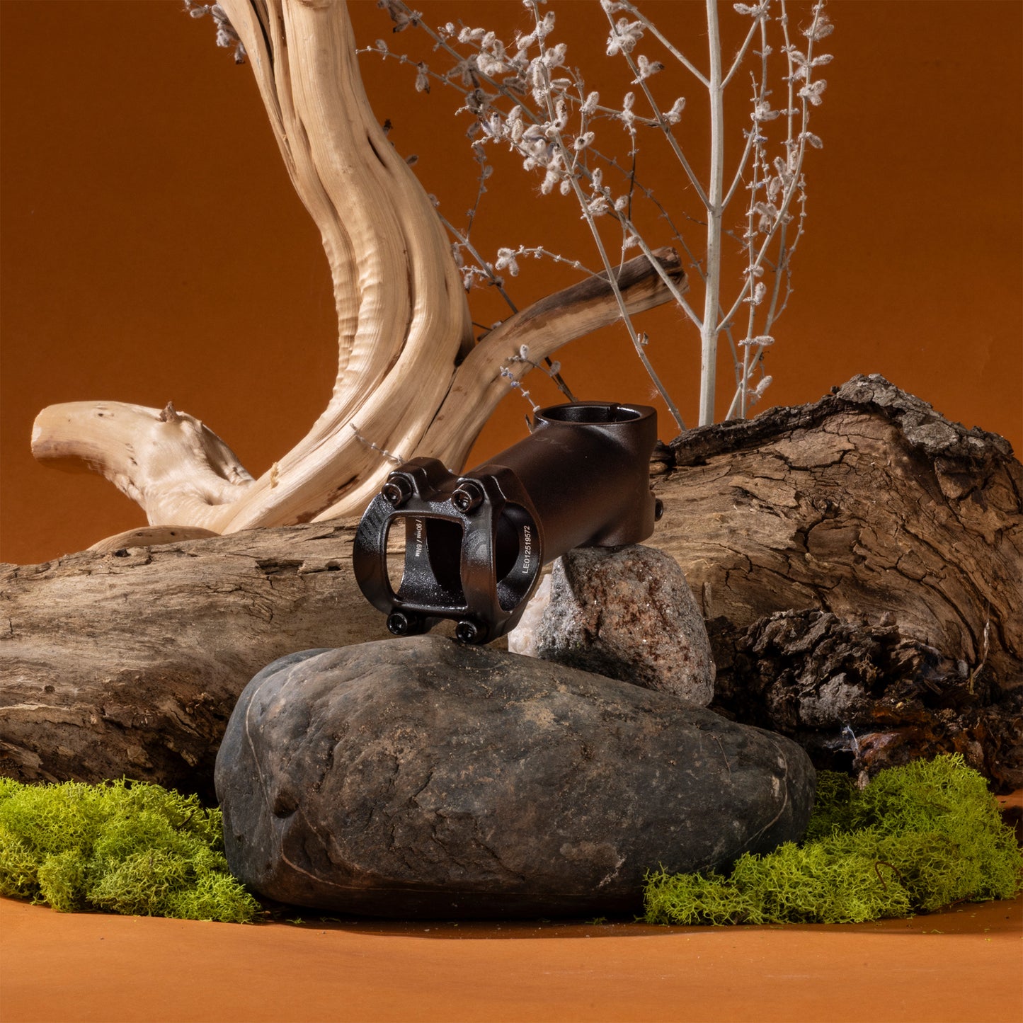 Decorative arrangement with rocks, branches, and a Radia Stem on a brown background