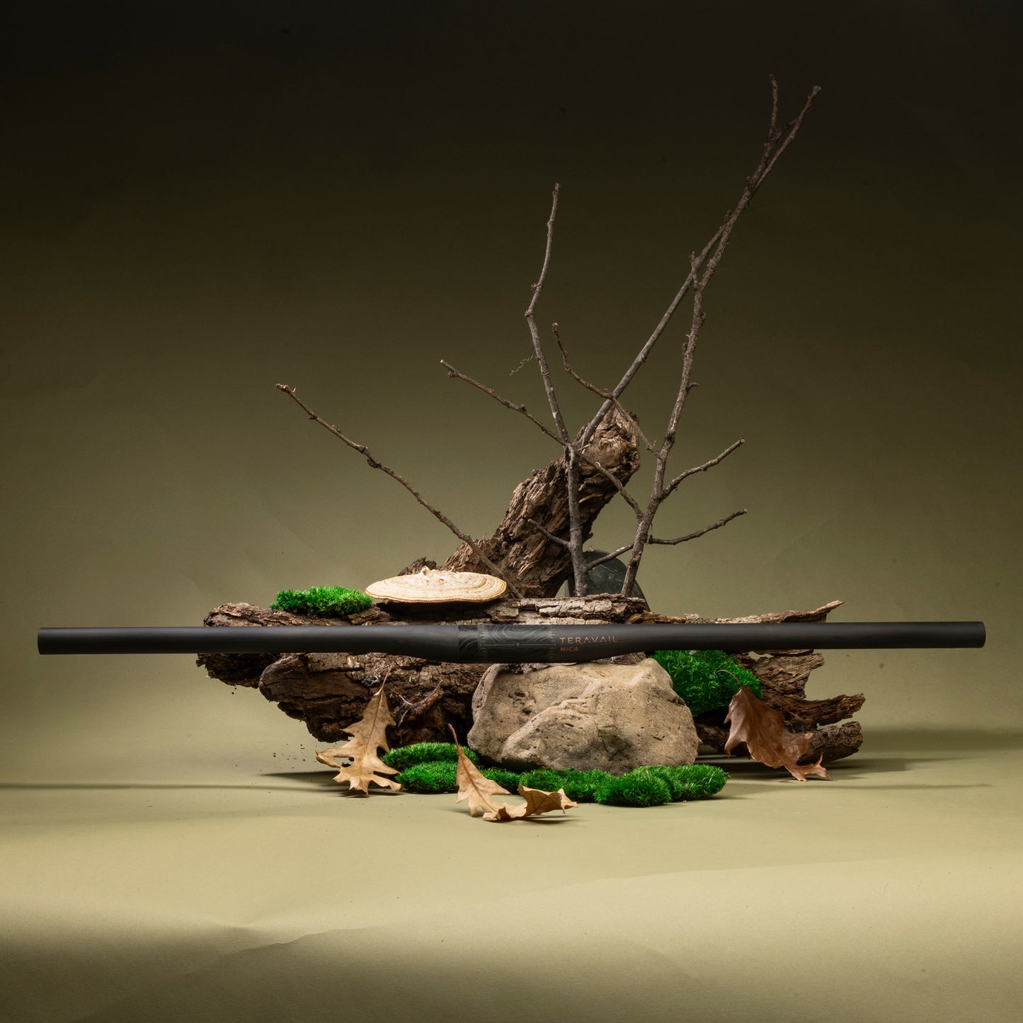 Decorative arrangement with branches, rocks, and moss on a dark background