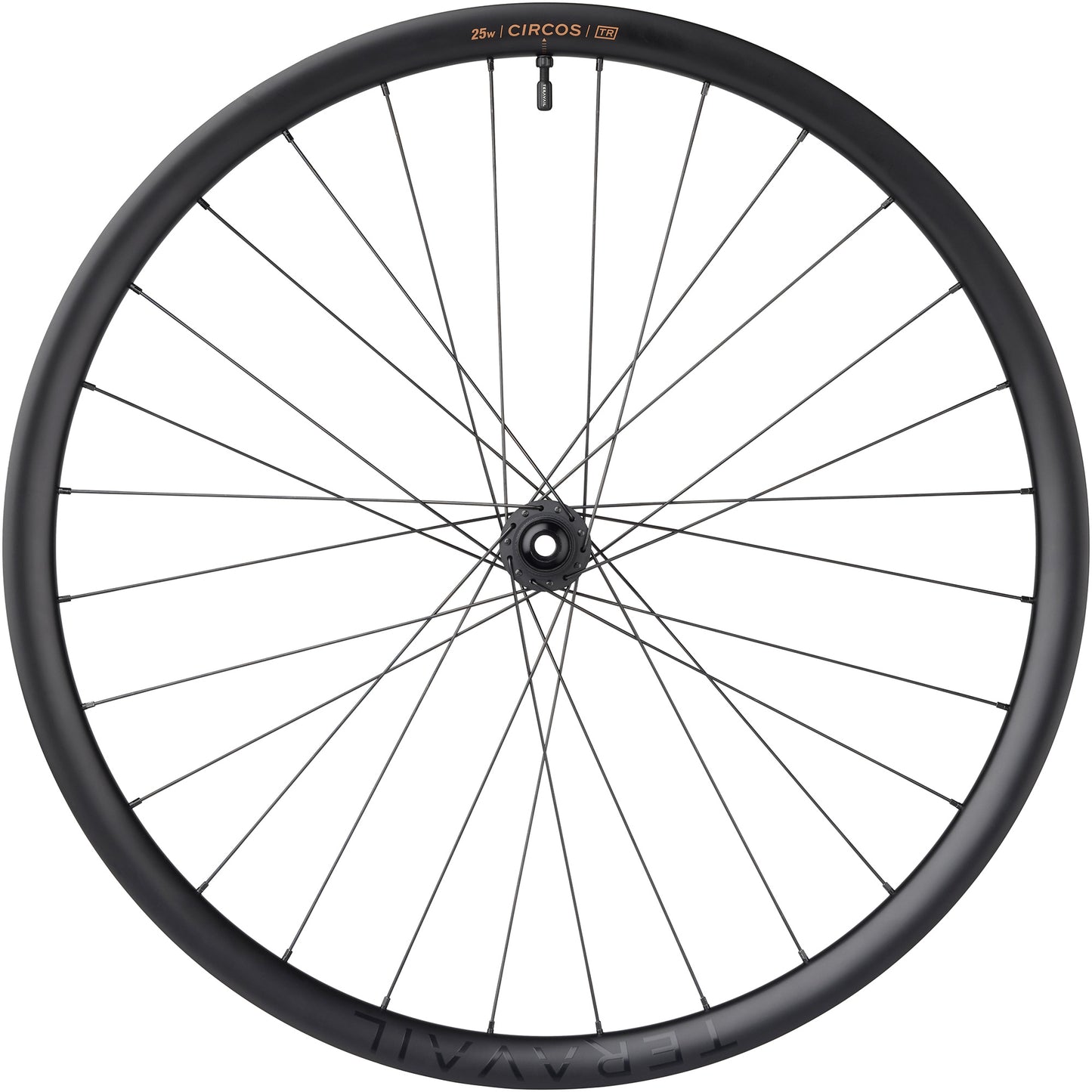 Teravail Circos Gravel Front Wheel 700c DT350 hub side view