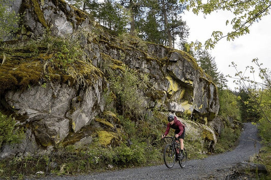 LOGGING ROADS REPURPOSED