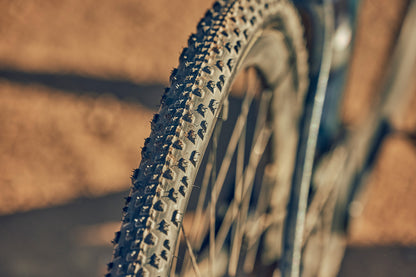 Close-up of a bicycle tire with tread pattern on a blurred natural background