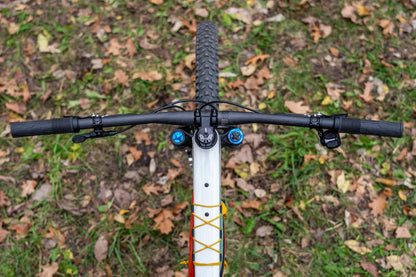 Bicycle handlebar with a white frame and black grips on a grassy ground with fallen leaves.