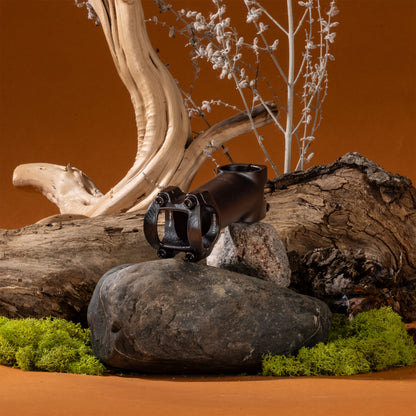 Decorative arrangement with rocks, branches, and a Radia Stem on a brown background