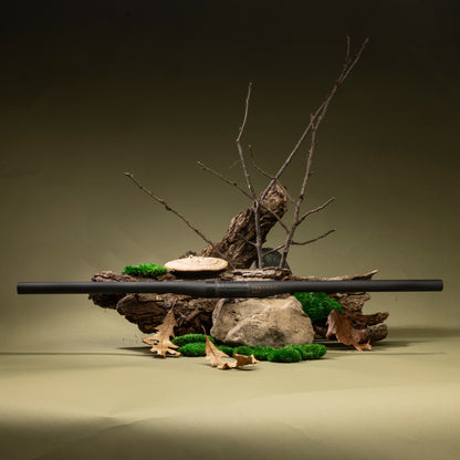Decorative arrangement with branches, rocks, and moss on a dark background