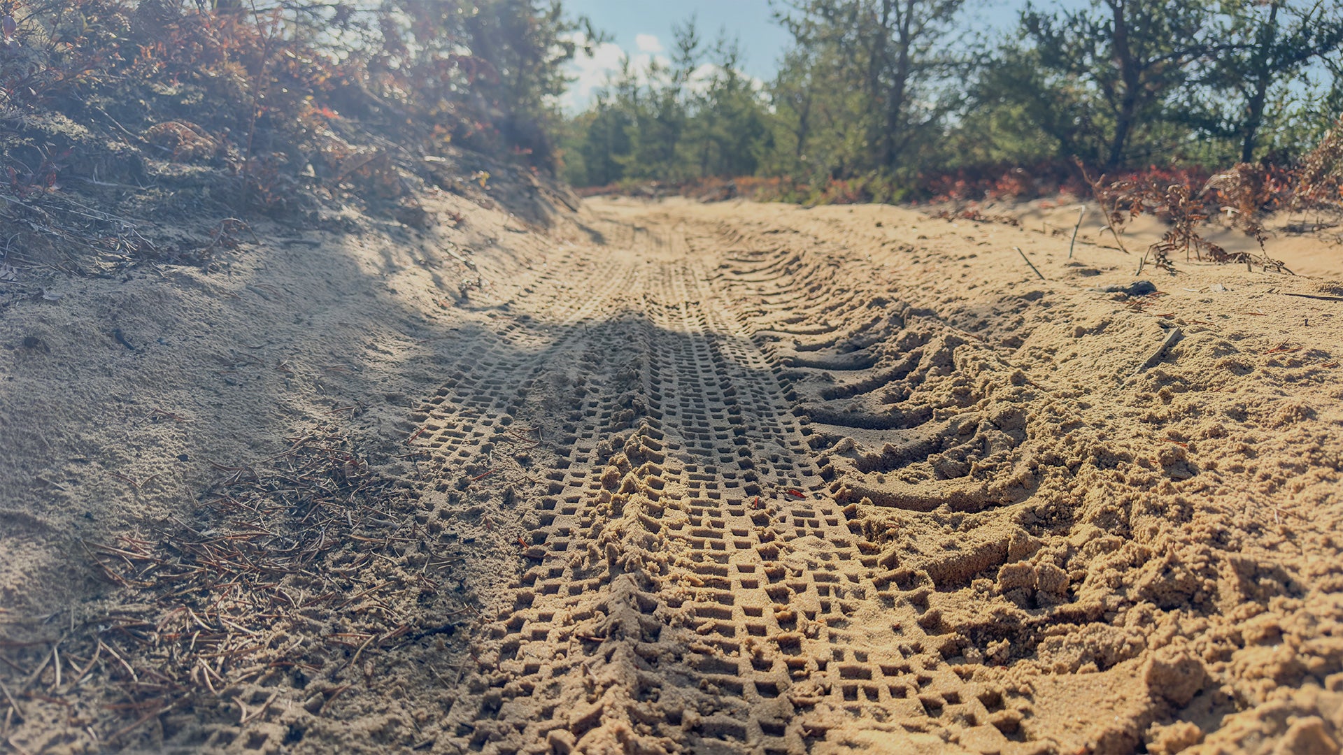 Sandy forest road close-up of bike tire tracks