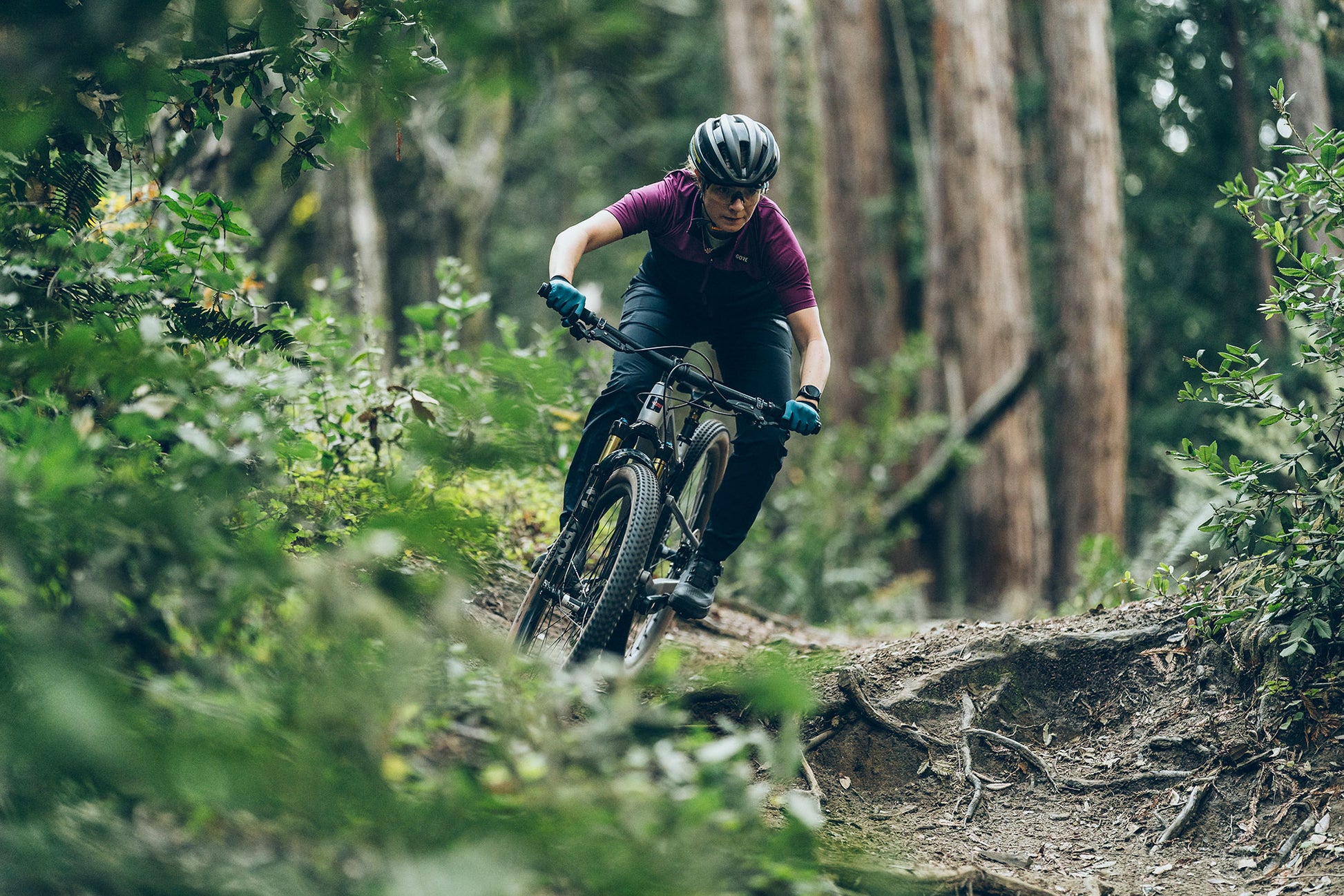 Person riding a mountain bike through a forest trail