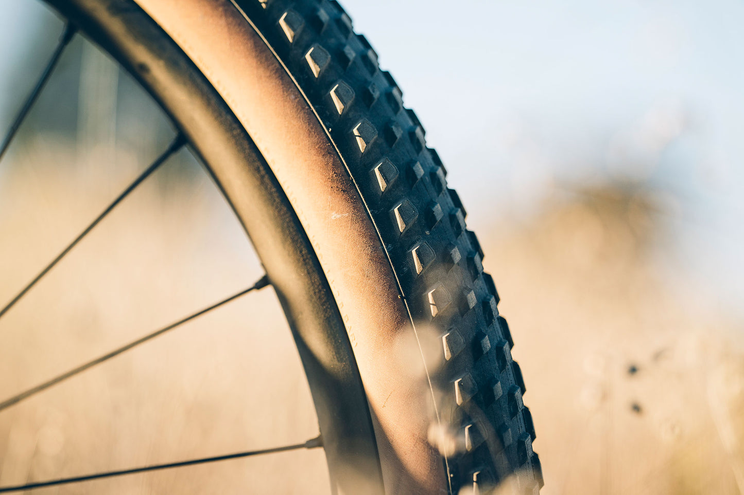 Close-up of a bicycle tire with tread pattern against a blurred background