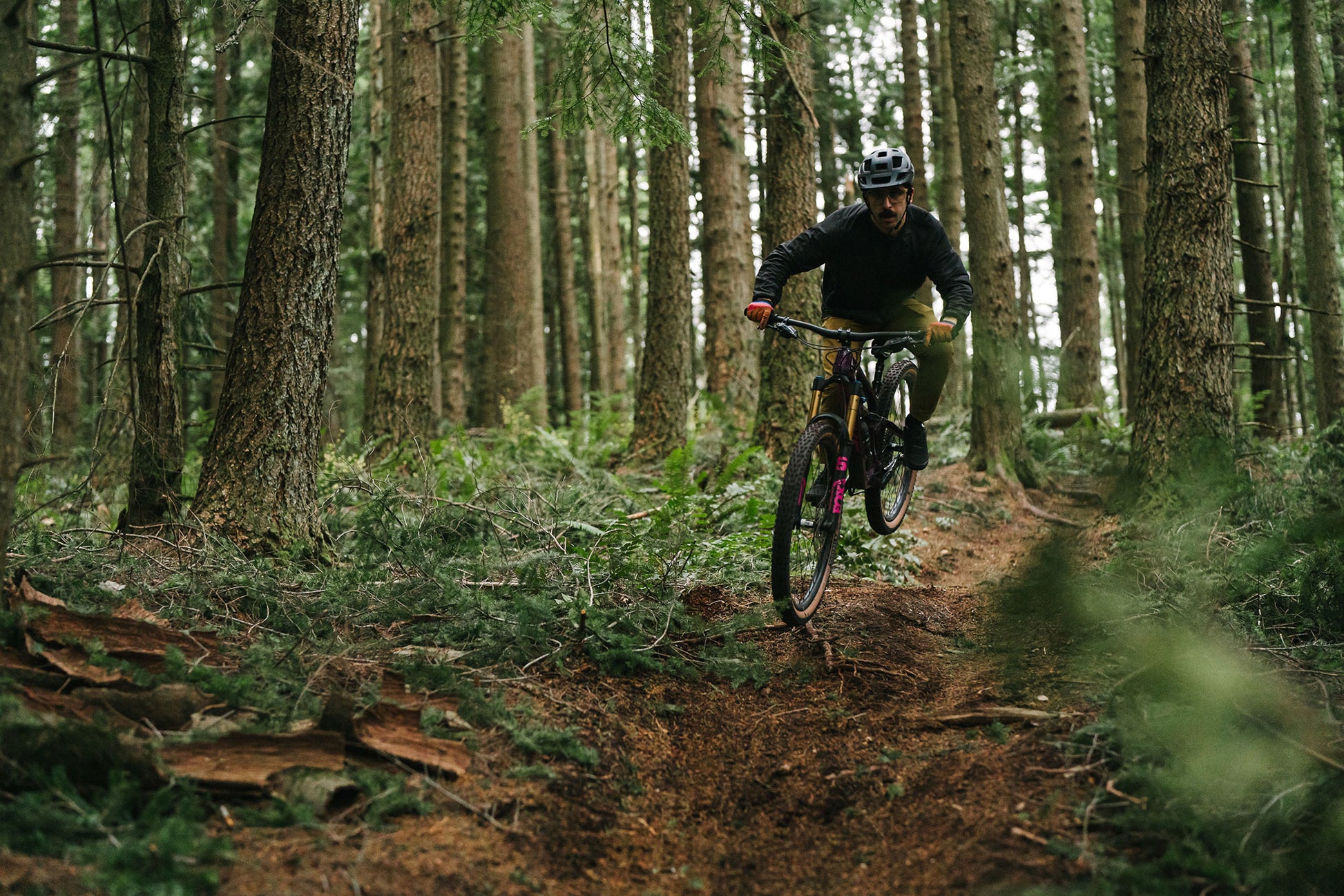 Person riding mountain bike in dense forest trail
