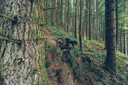 Person descending steep rock face on mountain bike in dense pine forest