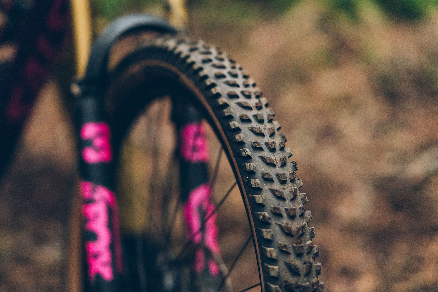 Close-up of Clifty Tire with dirt on tread in forest with blurred natural background