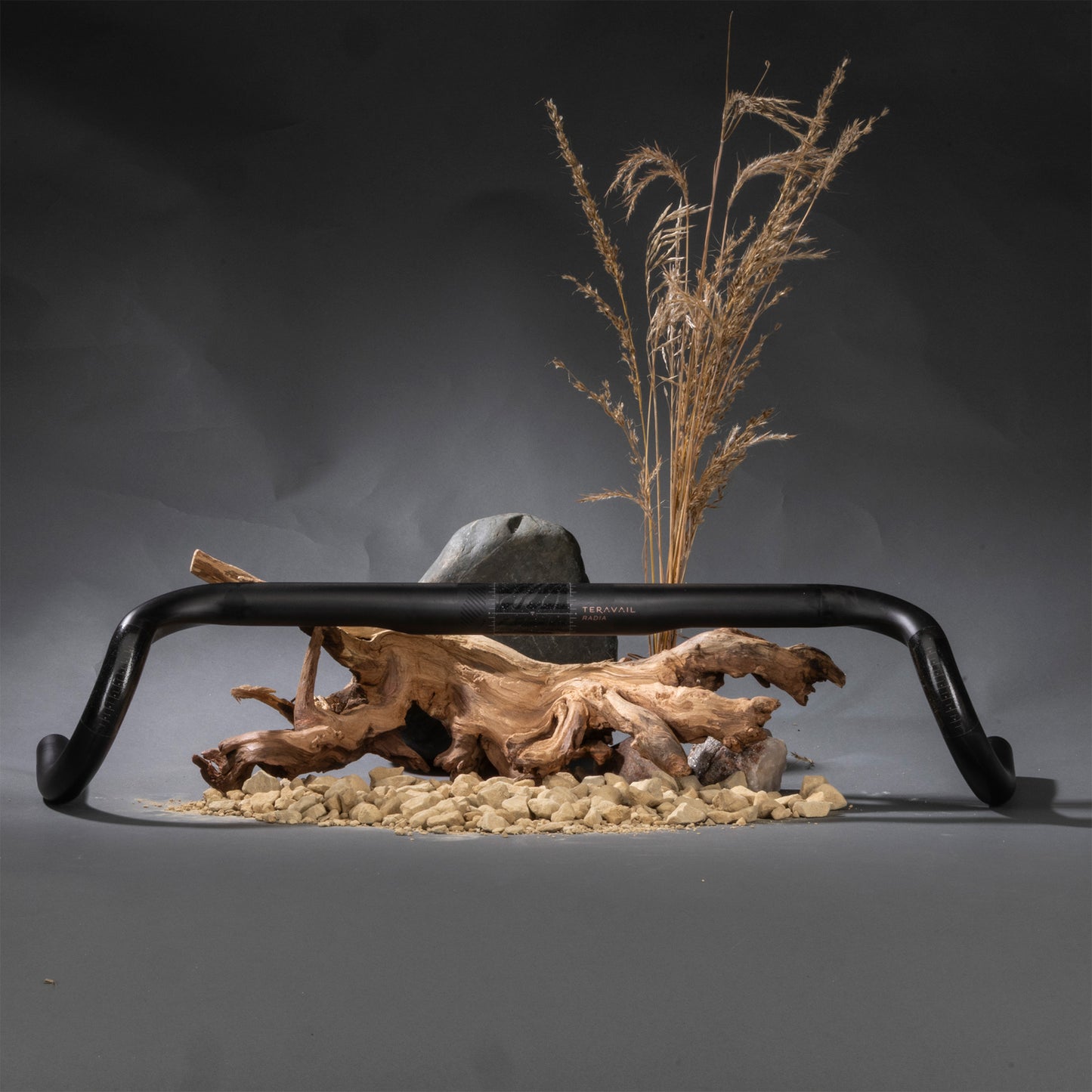 Decorative setup with a black Teravail Radia 24 Carbon bar, driftwood, and dried plants on a dark background