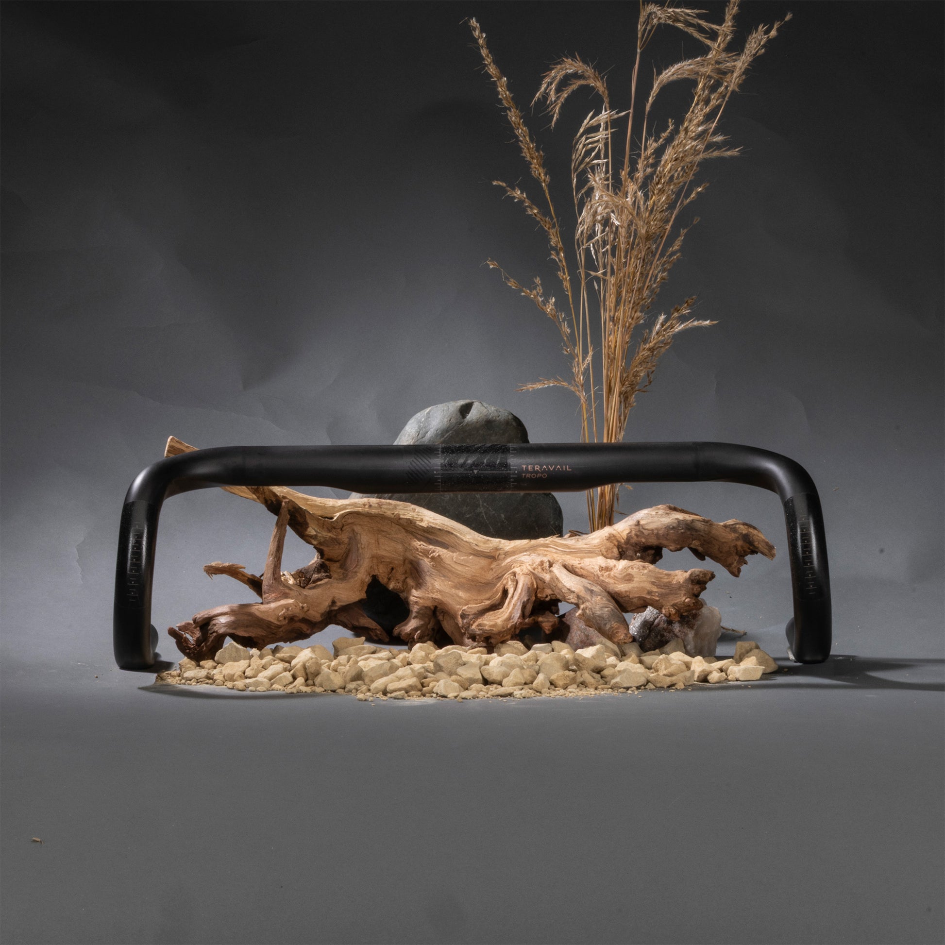 Decorative setup with Tropo Carbon Drop Bar, driftwood, and dried plants on a dark background
