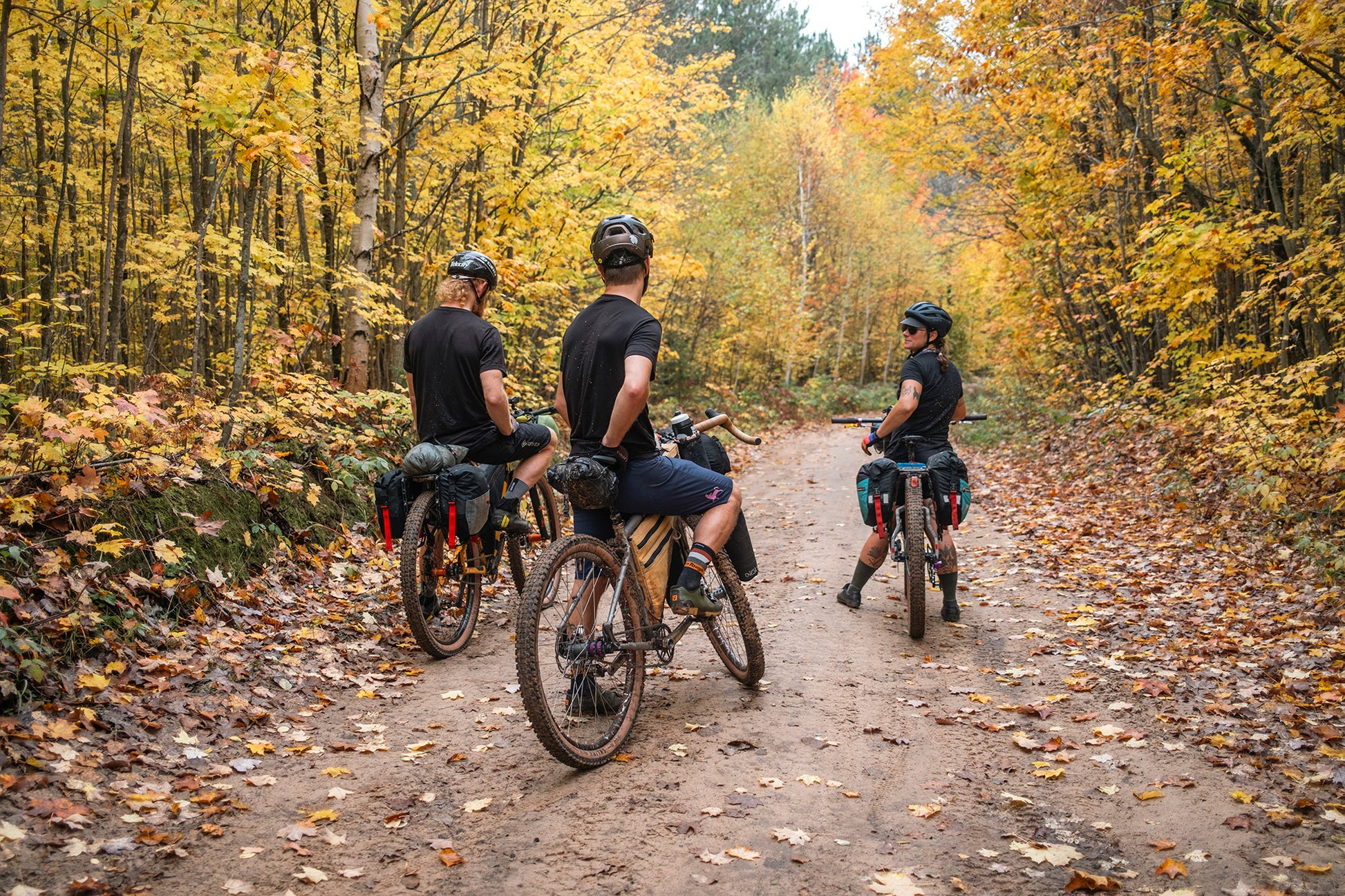 Three people riding bicycles on a forest path with autumn foliage.