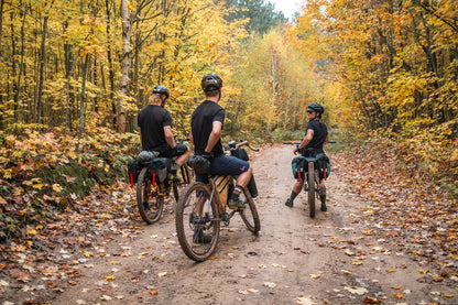 Three people riding bicycles on a forest path with autumn foliage.