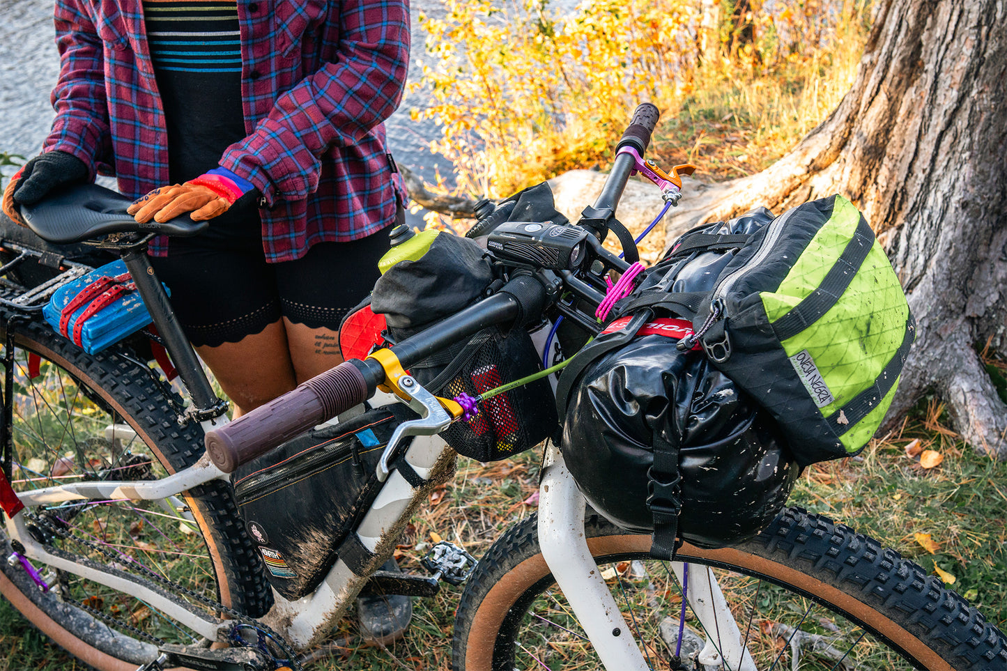 Person with a bicycle loaded with gear near a tree and water