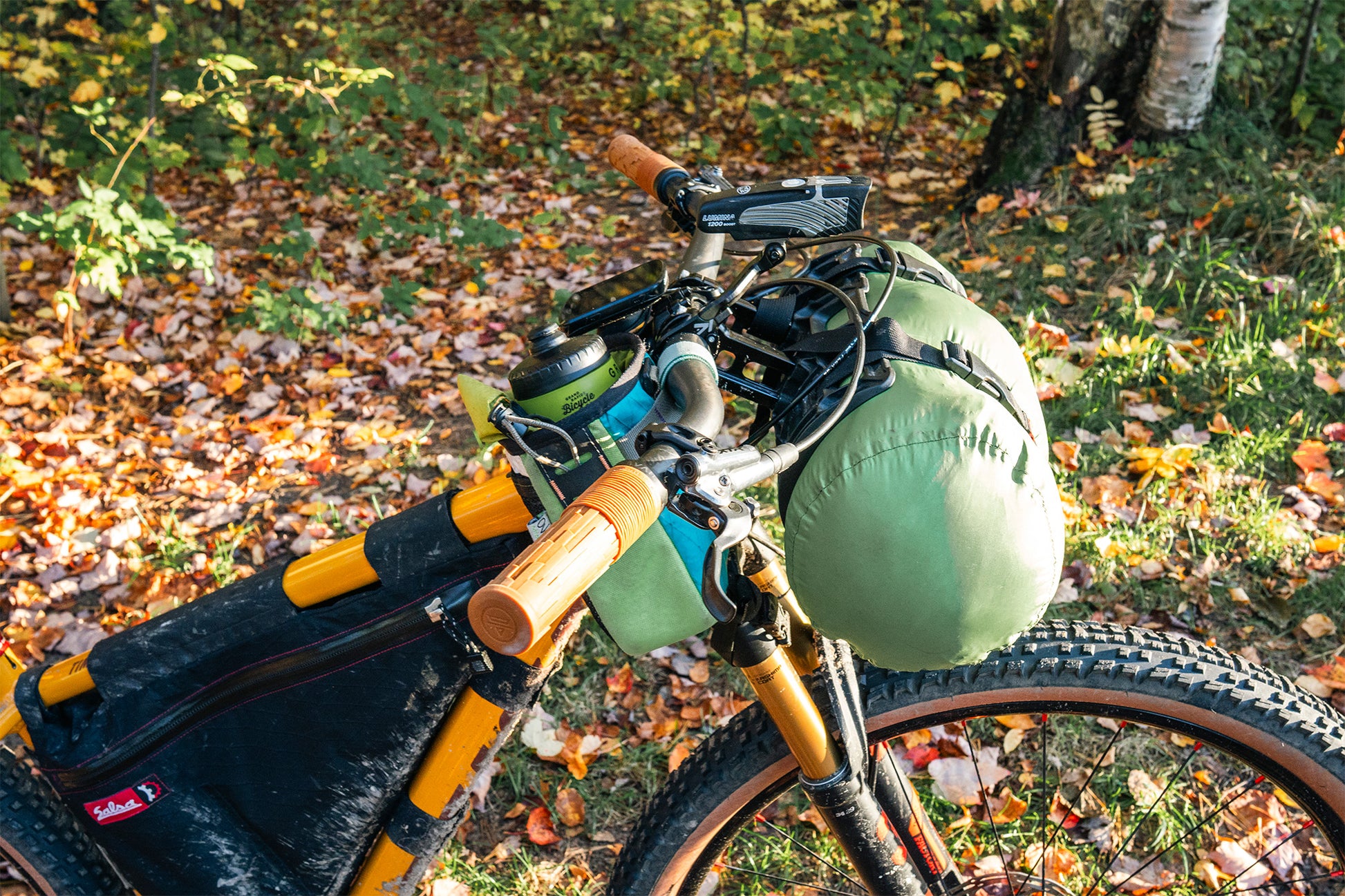 Bicycle with gear packs on a forest path