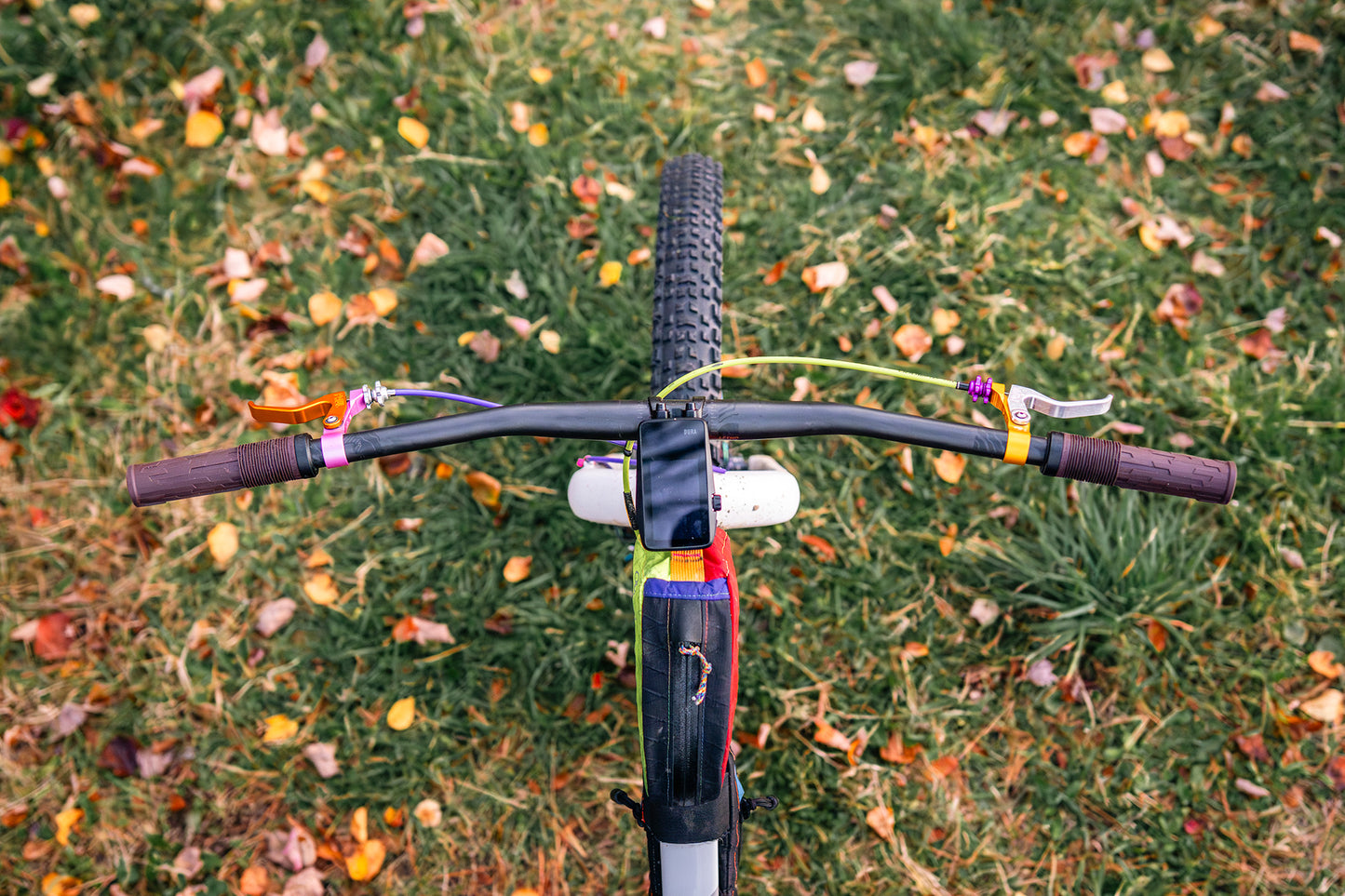 Looking down at  bicycle handlebar on grass with autumn leaves