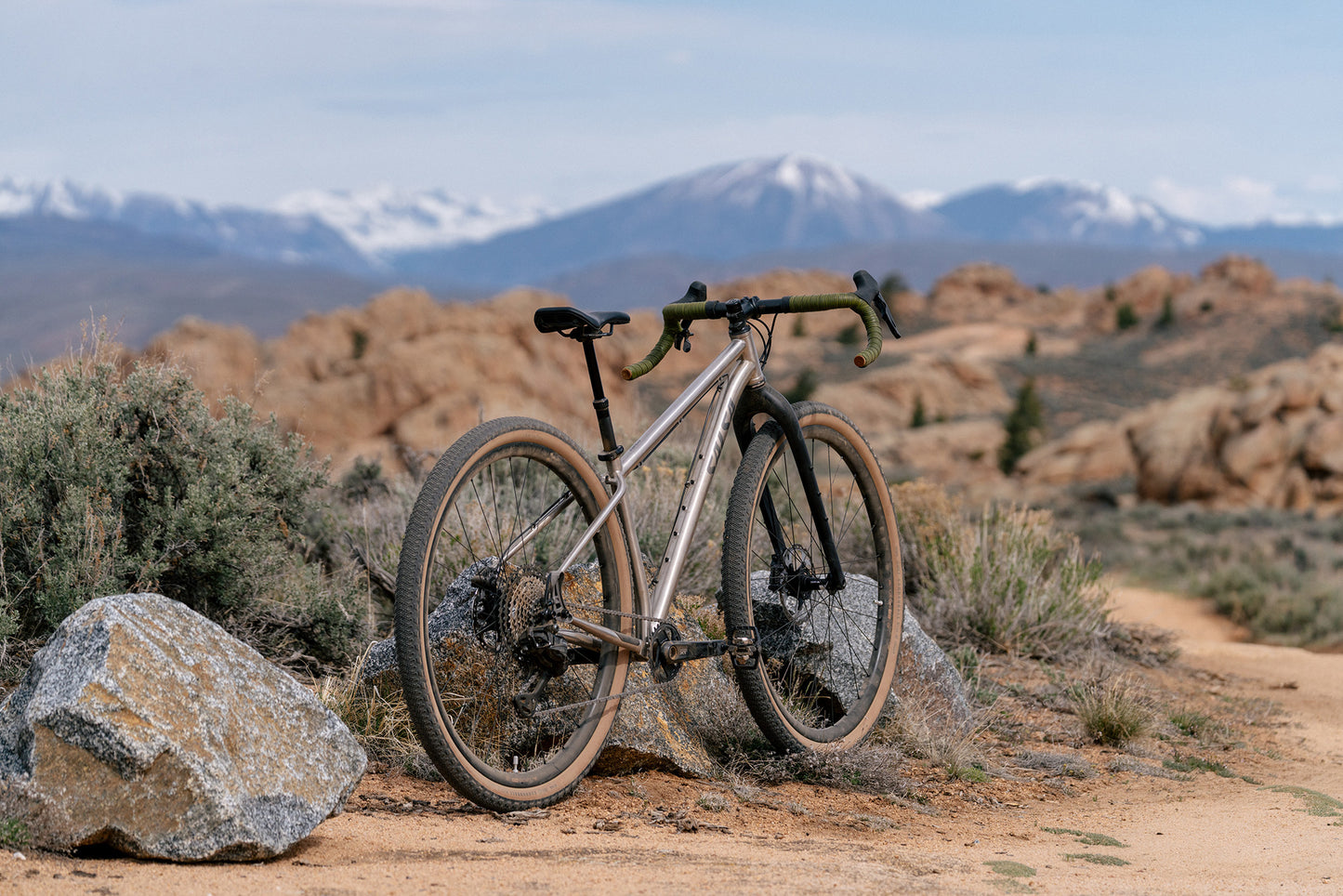 Salsa Fargo 32 bike with Teravail Cannonball 32 Tires outside with mountains in background