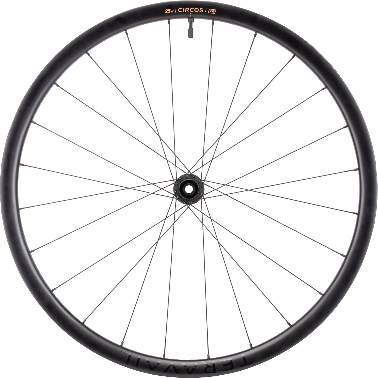 Bicycle wheel with black rim and spokes on a white background