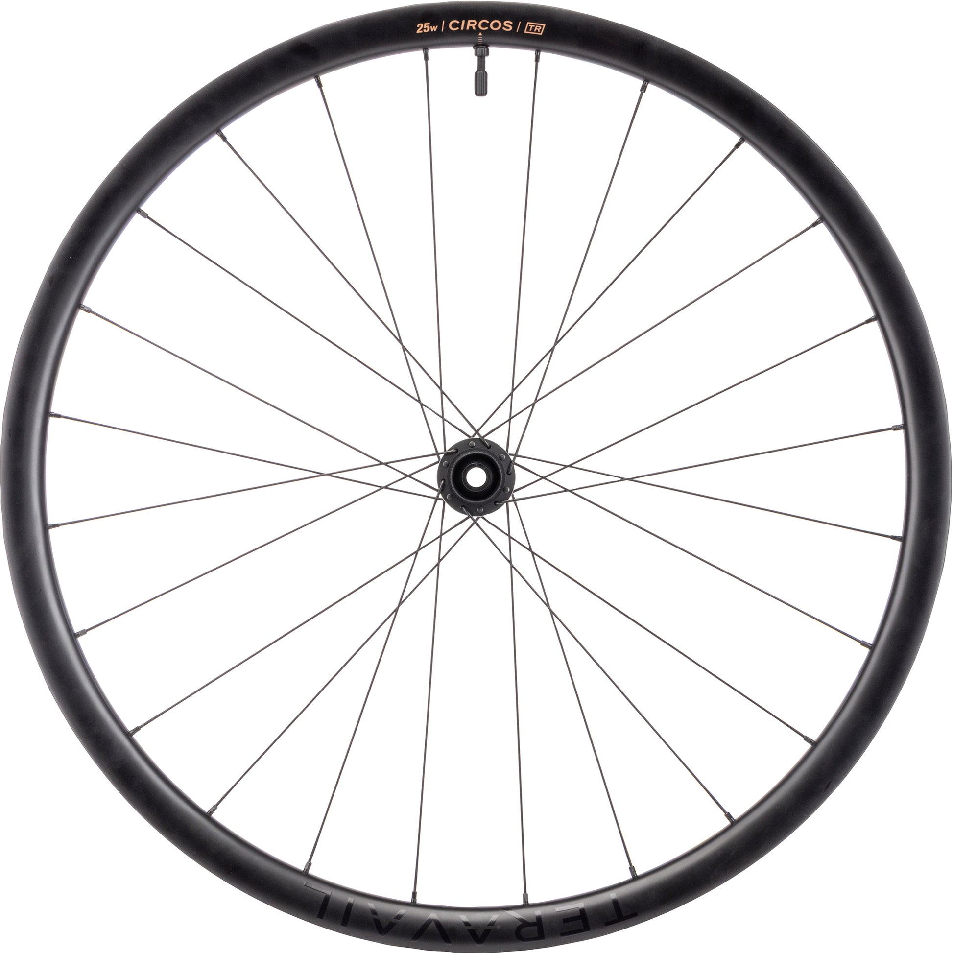 Bicycle wheel with black rim and spokes on a white background