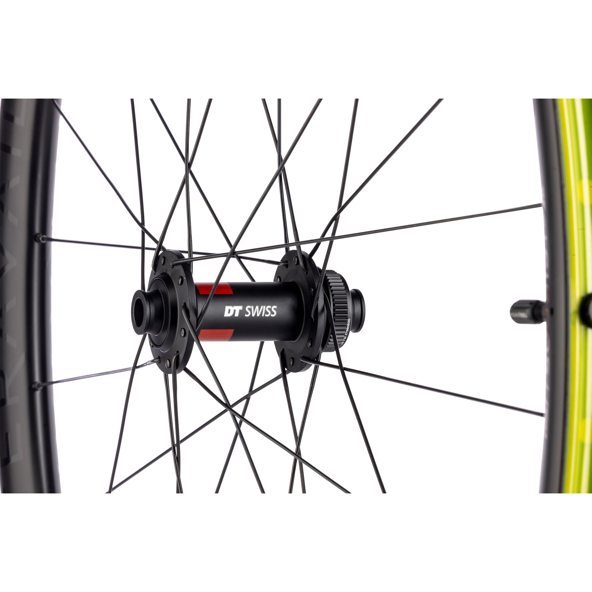 Teravail Circos DT 240 Gravel Front Wheel detail hub view on white background