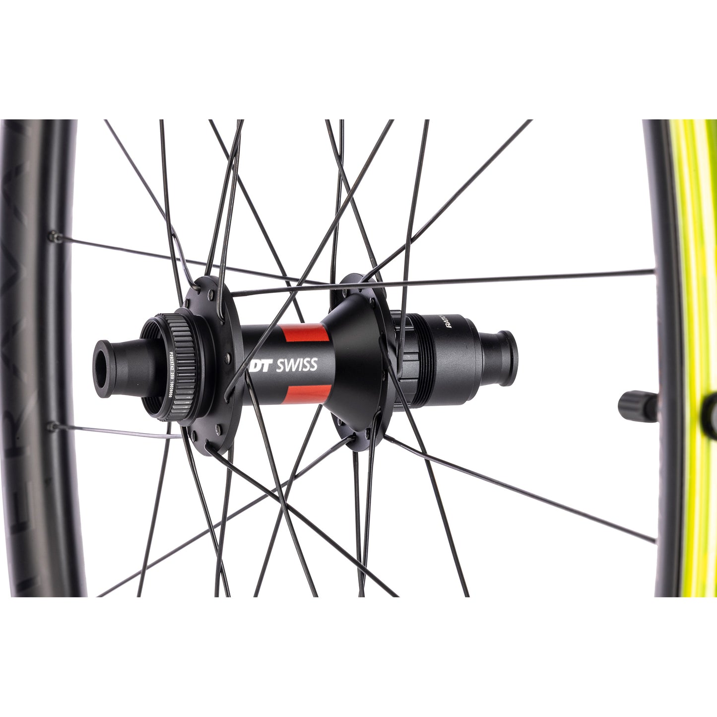 Teravail Circos DT 240 XDR Gravel Rear Wheel detail hub view on white background