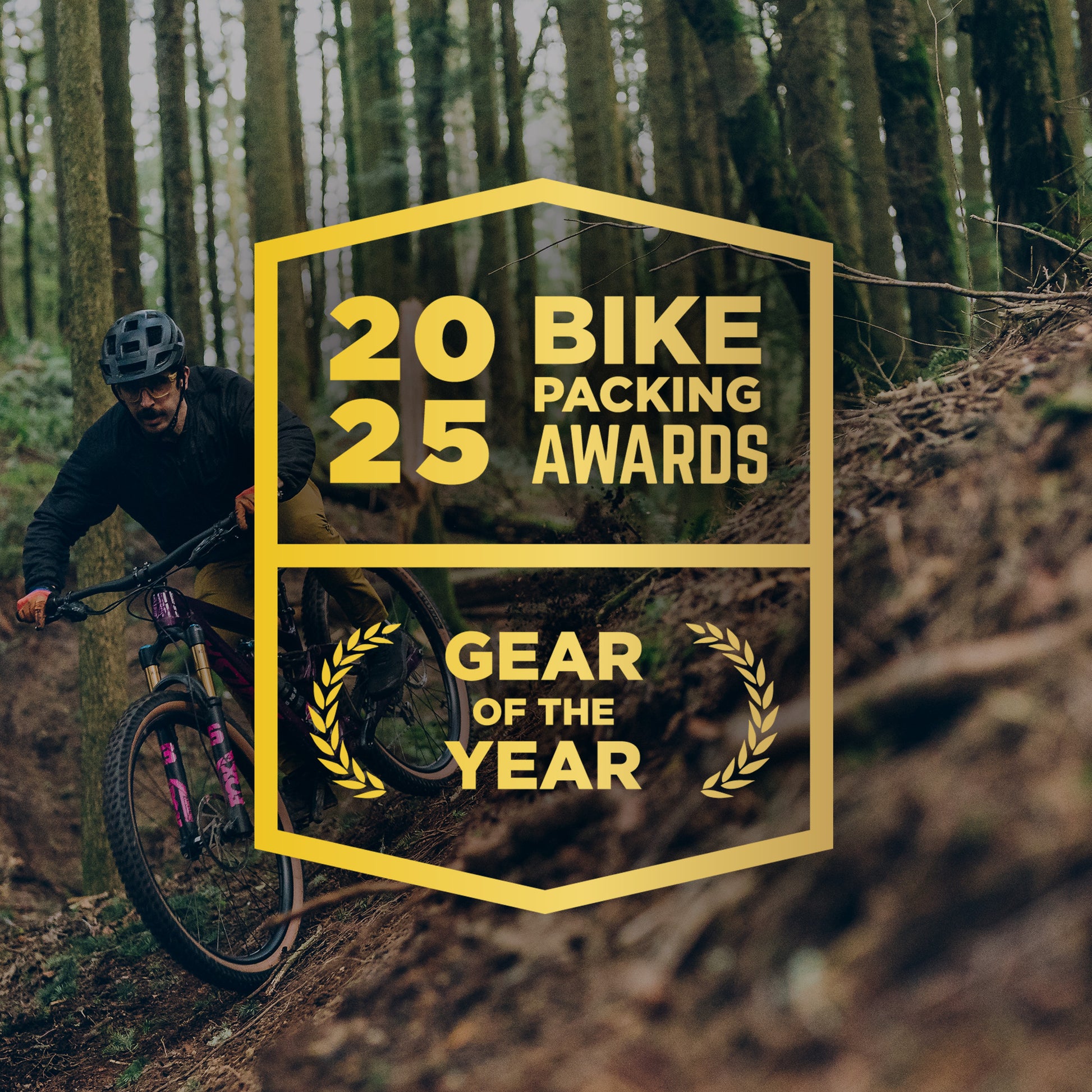 Person mountain biking in forest 2025 Bikepacking Awards, Gear of the Year logo overlay
