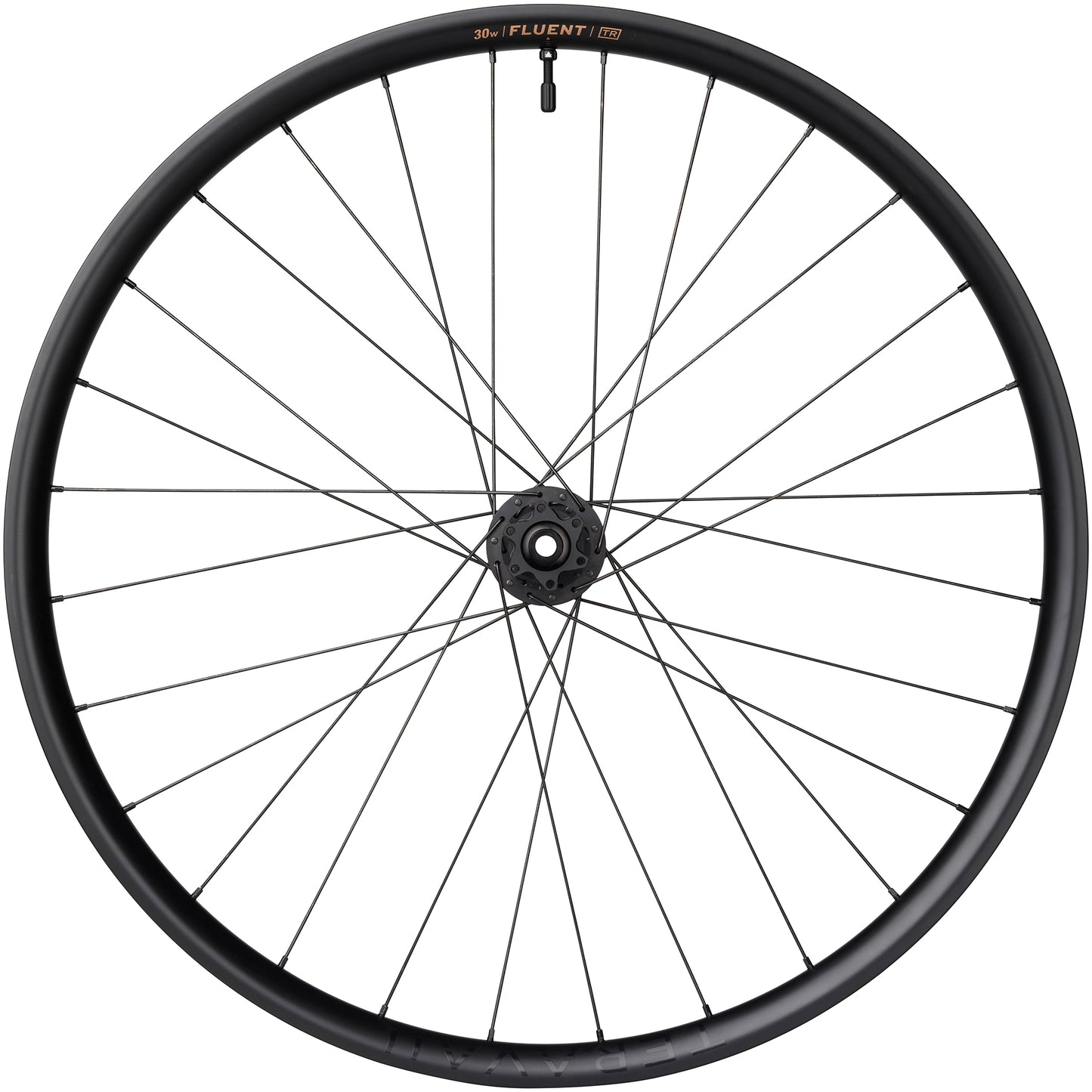 Teravail Fluent Mountain Carbon Rear Wheel disc mount side view