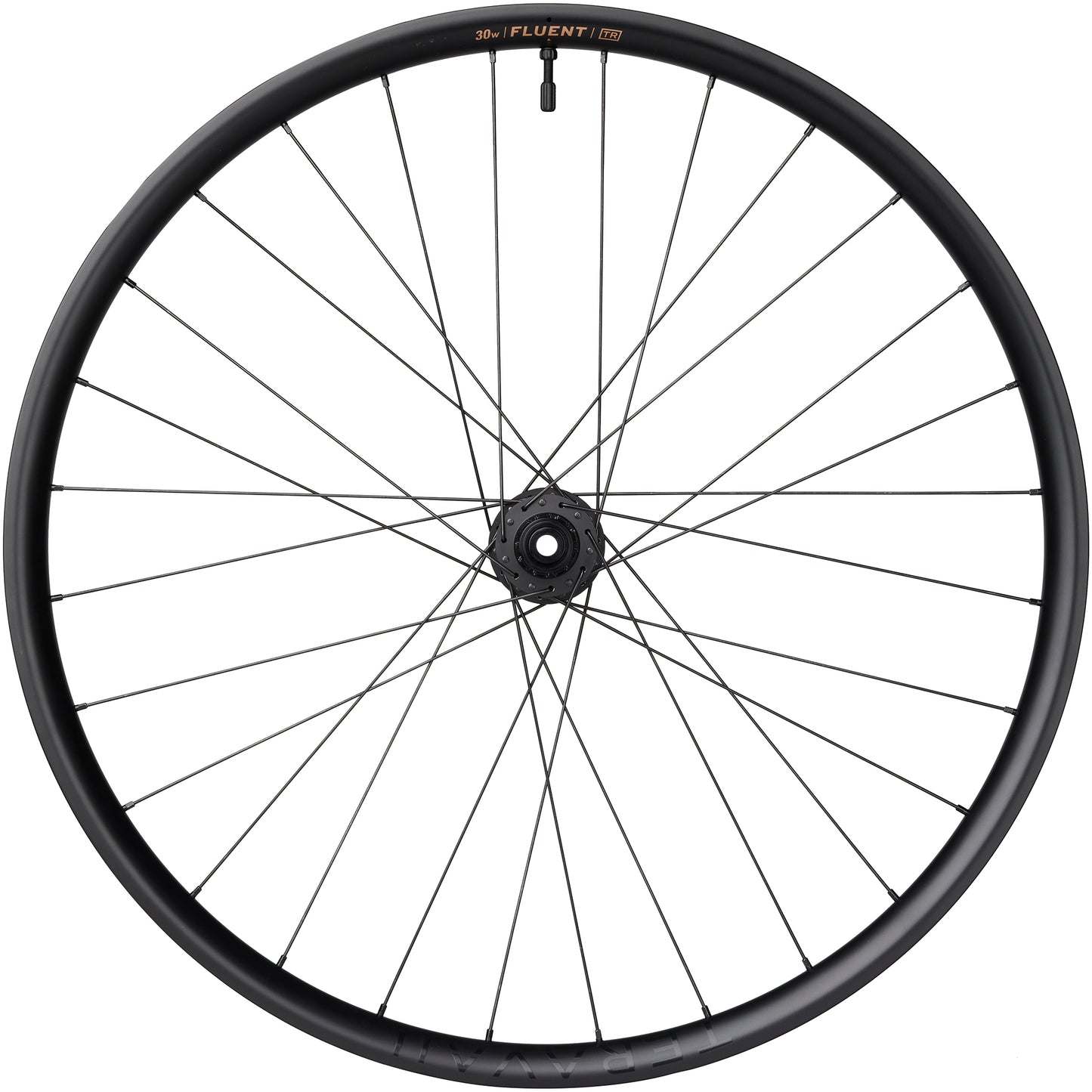 Teravail Fluent Mountain Carbon Rear Wheel freehub side view