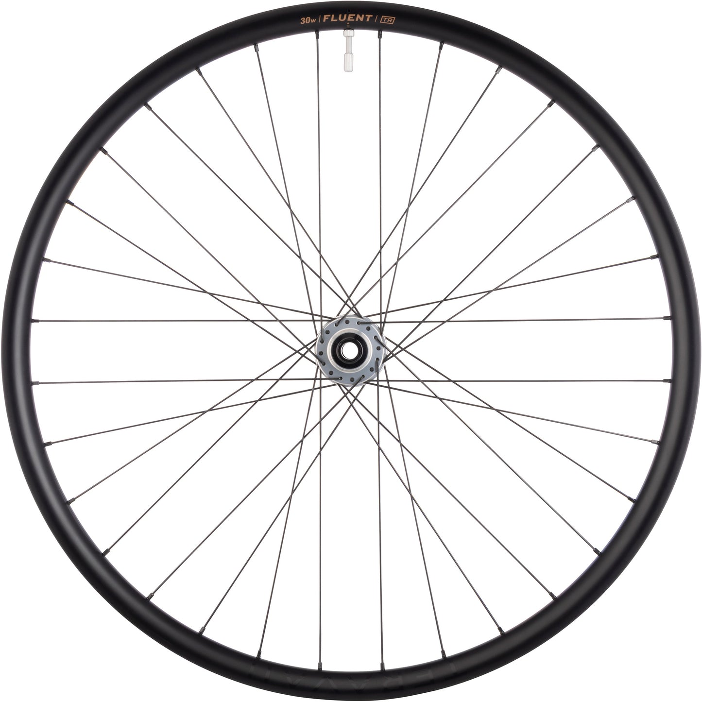 Bicycle wheel with black rim and white spokes on a white background