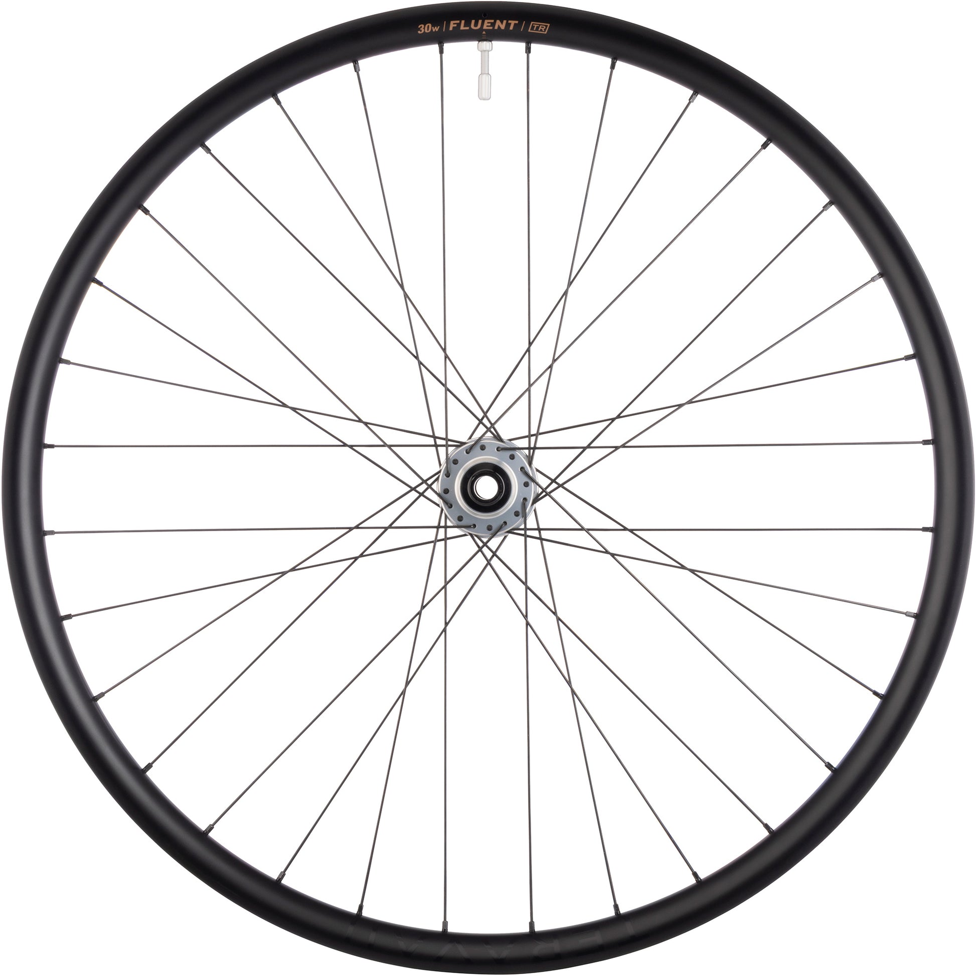 Bicycle wheel with black rim and white spokes on a white background