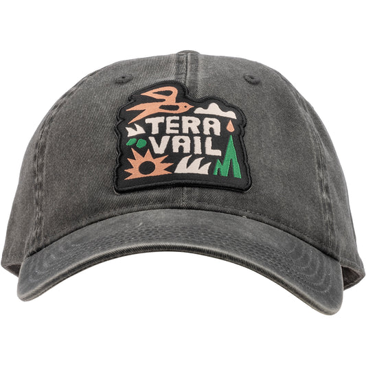 Gray cap with a colorful 'Teravail' patch on a white background