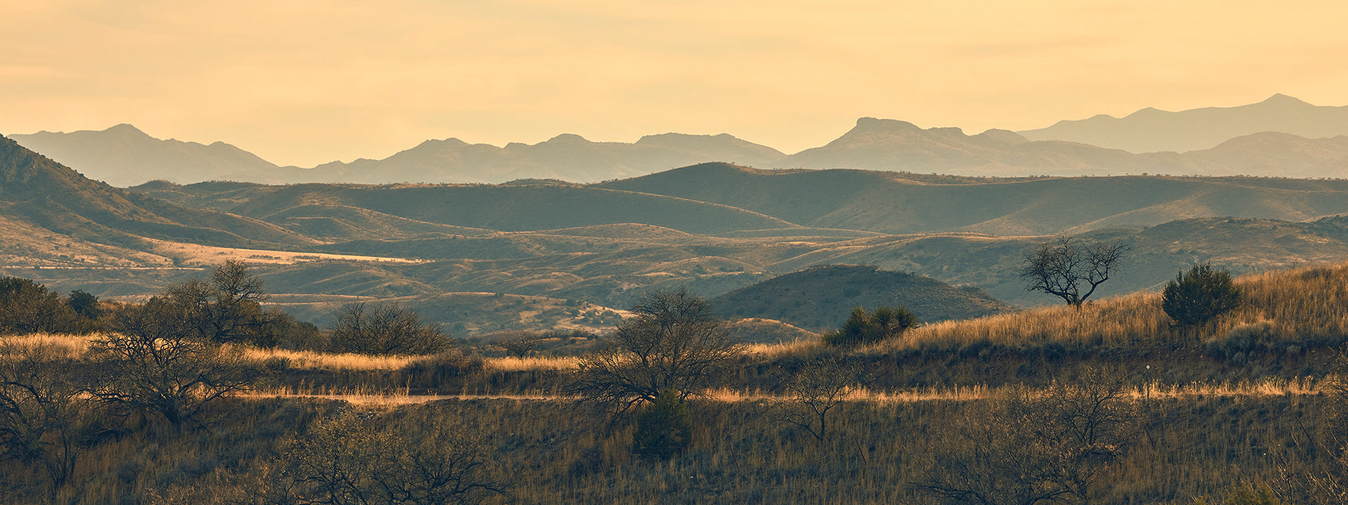 Scenic view of a desert landscape with mountains in the background