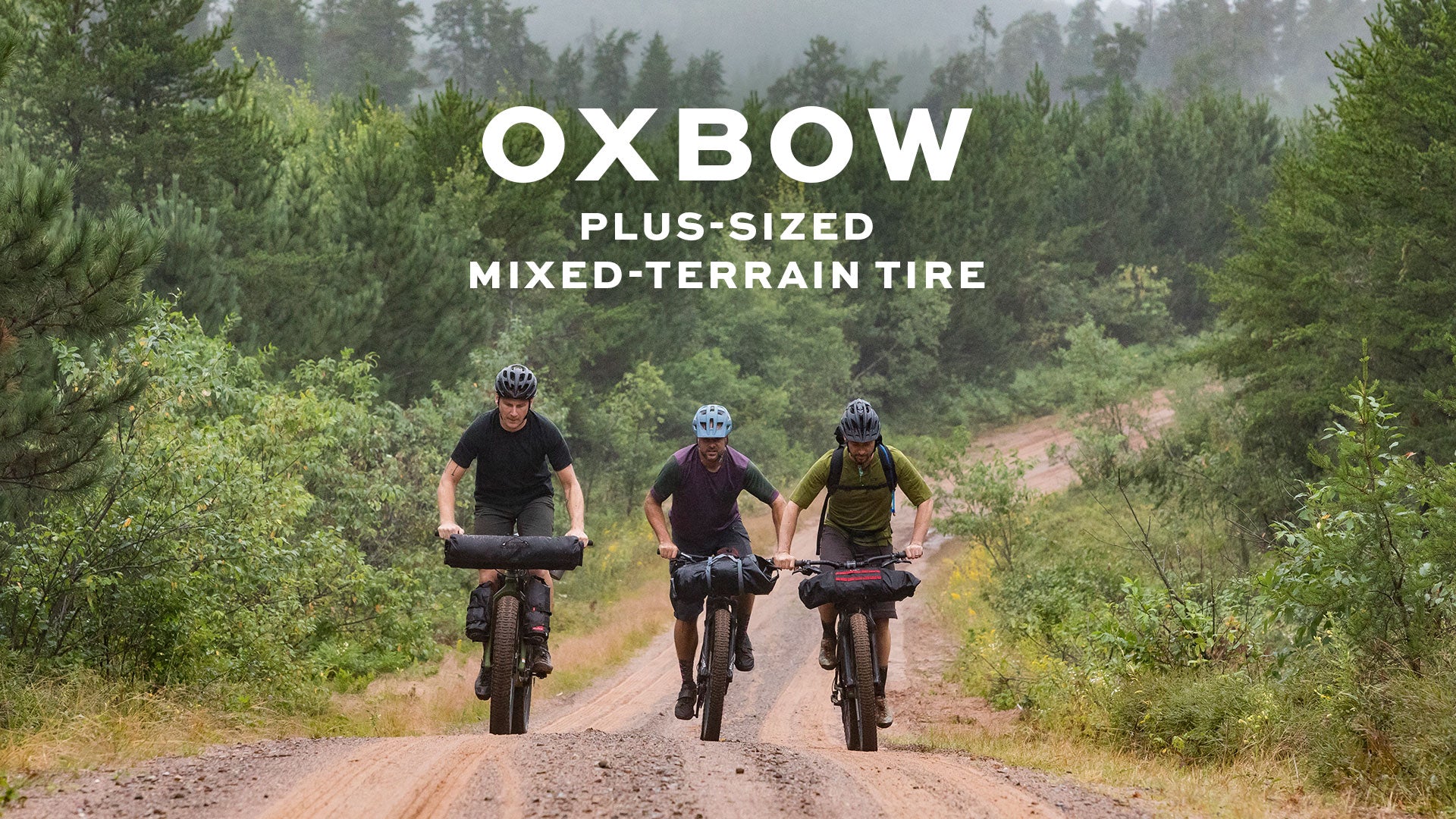 Oxbow Plus-Size MTB Tire | Teravail